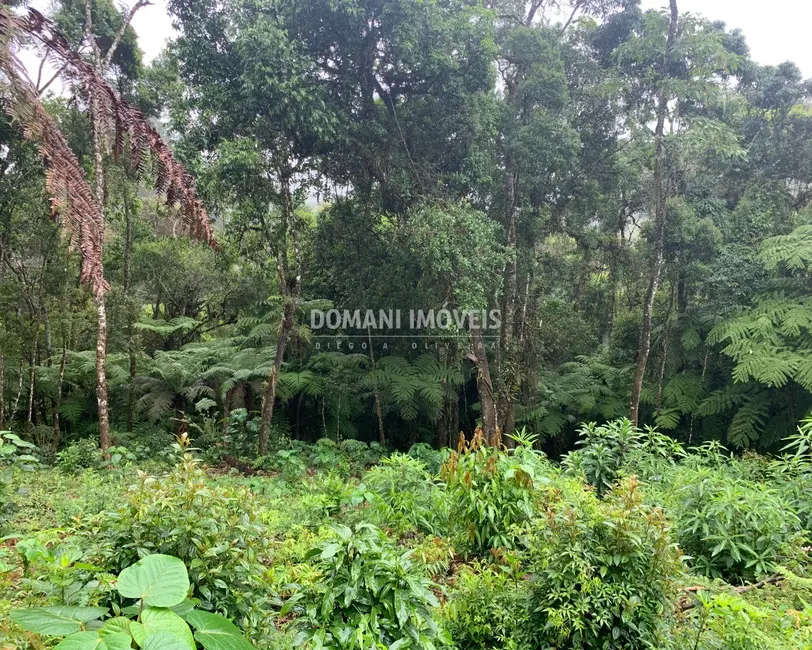 Foto 4 de Terreno / Lote à venda, 1050m2 em Campos Do Jordao - SP