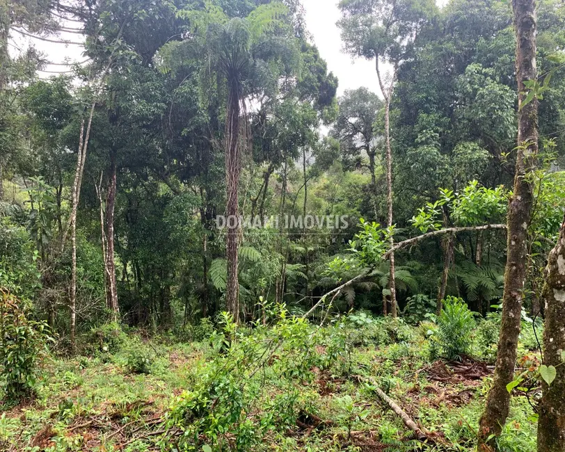 Foto 5 de Terreno / Lote à venda, 1050m2 em Campos Do Jordao - SP