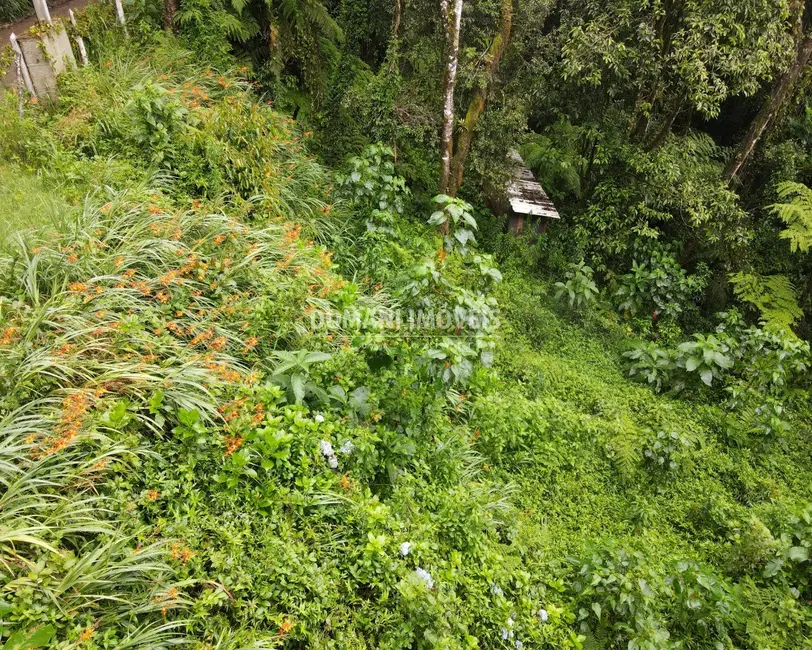 Terreno / Lote à venda, 1300m2 em Campos Do Jordao - SP - imagem 3 Foto 3 de Terreno / Lote à venda, 1300m2 em Campos Do Jordao - SP