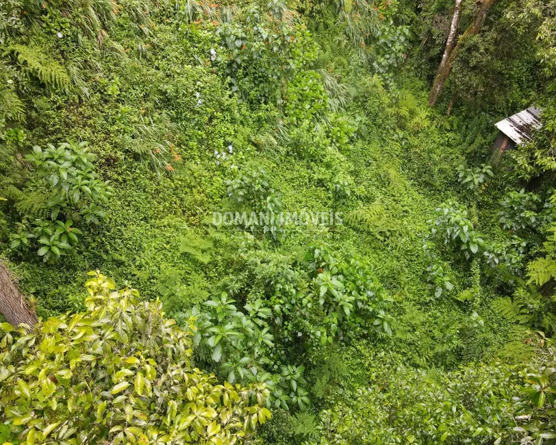 Terreno / Lote à venda, 1300m2 em Campos Do Jordao - SP - imagem 5 Foto 5 de Terreno / Lote à venda, 1300m2 em Campos Do Jordao - SP