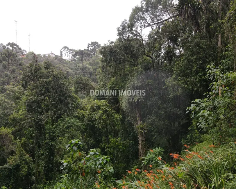 Terreno / Lote à venda, 1300m2 em Campos Do Jordao - SP - imagem 7 Foto 7 de Terreno / Lote à venda, 1300m2 em Campos Do Jordao - SP