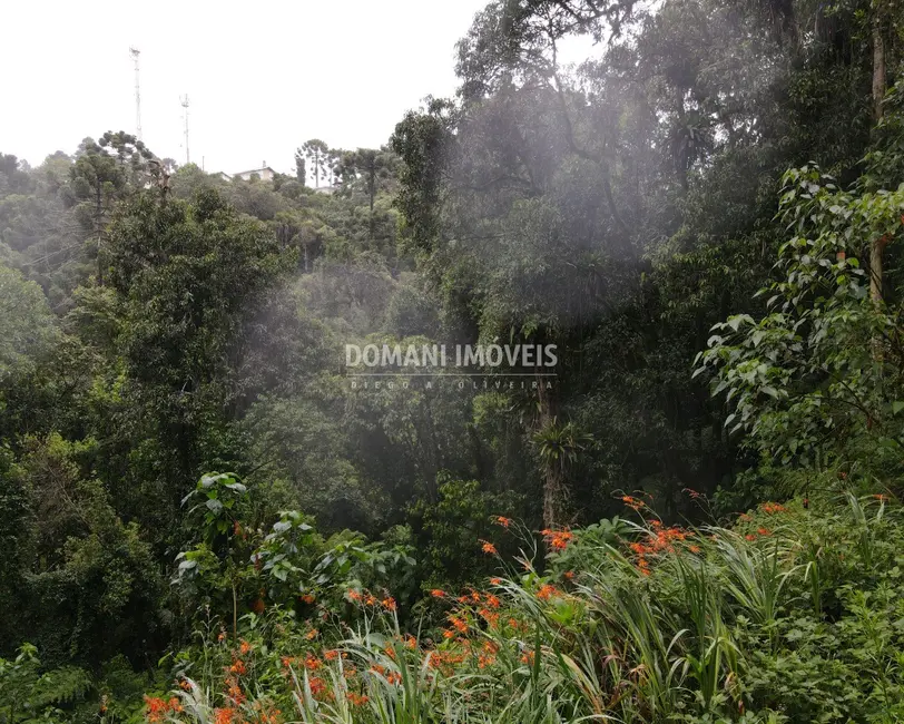 Terreno / Lote à venda, 1300m2 em Campos Do Jordao - SP - imagem 4 Foto 4 de Terreno / Lote à venda, 1300m2 em Campos Do Jordao - SP