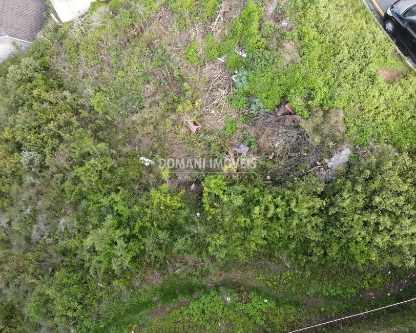 Terreno / Lote à venda, 400m2 em Campos Do Jordao - SP - imagem 9 Foto 9 de Terreno / Lote à venda, 400m2 em Campos Do Jordao - SP