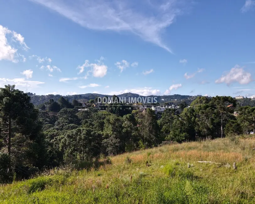 Foto 4 de Terreno / Lote à venda, 8900m2 em Campos Do Jordao - SP