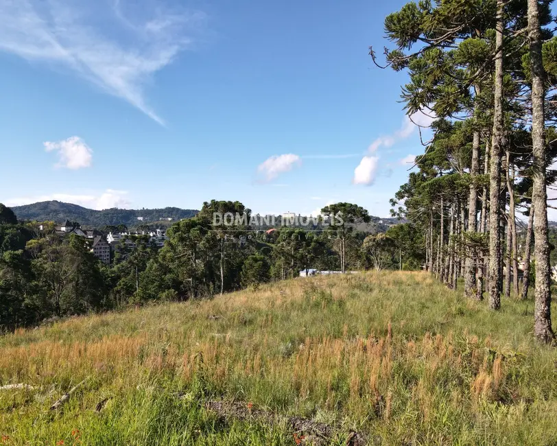 Foto 1 de Terreno / Lote à venda, 8900m2 em Campos Do Jordao - SP