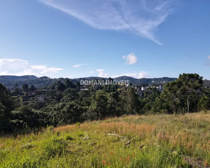 Foto 7 de Terreno / Lote à venda, 8900m2 em Campos Do Jordao - SP
