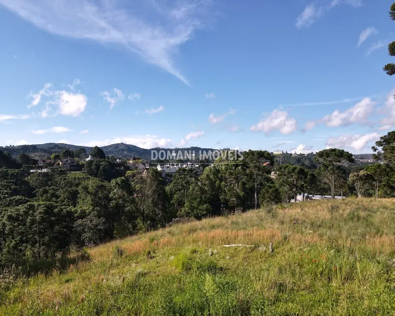Foto 2 de Terreno / Lote à venda, 8900m2 em Campos Do Jordao - SP