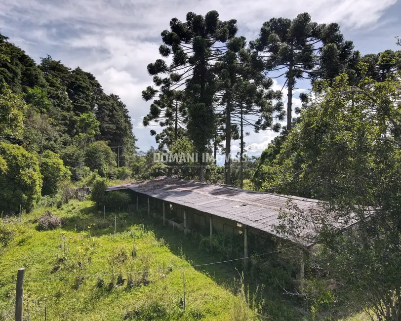 Foto 2 de Terreno / Lote à venda em Campos Do Jordao - SP