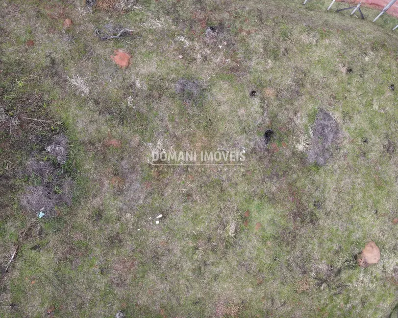Foto 9 de Terreno / Lote à venda, 1050m2 em Campos Do Jordao - SP