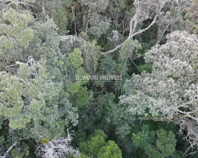 Foto 1 de Terreno / Lote à venda, 1110m2 em Campos Do Jordao - SP