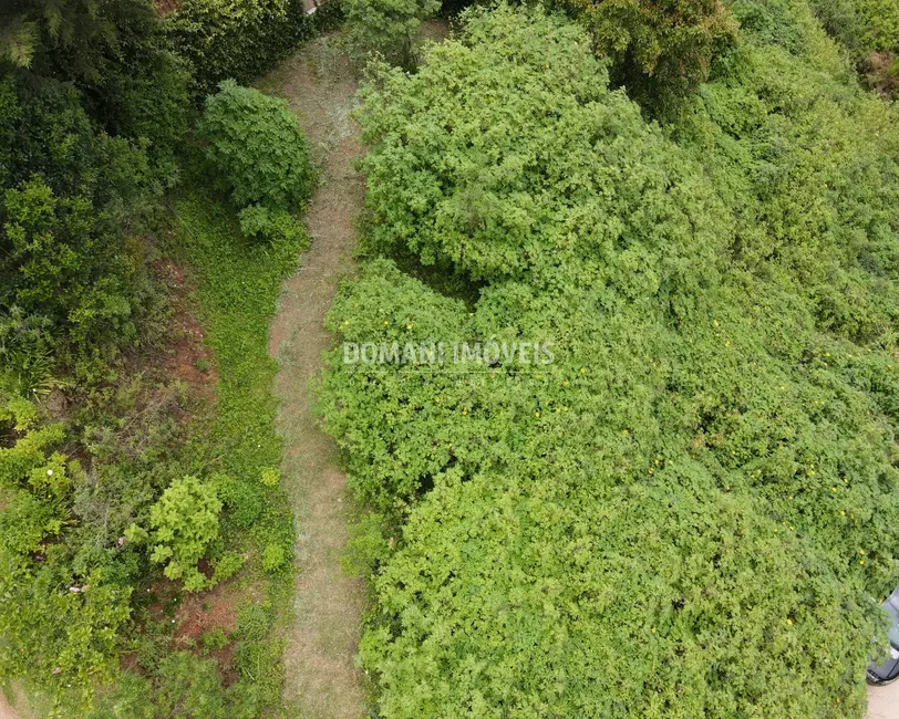 Terreno / Lote à venda, 1300m2 em Campos Do Jordao - SP - imagem 5 Foto 5 de Terreno / Lote à venda, 1300m2 em Campos Do Jordao - SP