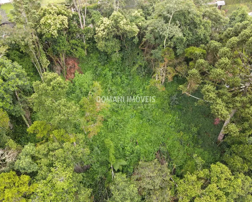 Foto 9 de Terreno / Lote à venda, 1480m2 em Campos Do Jordao - SP