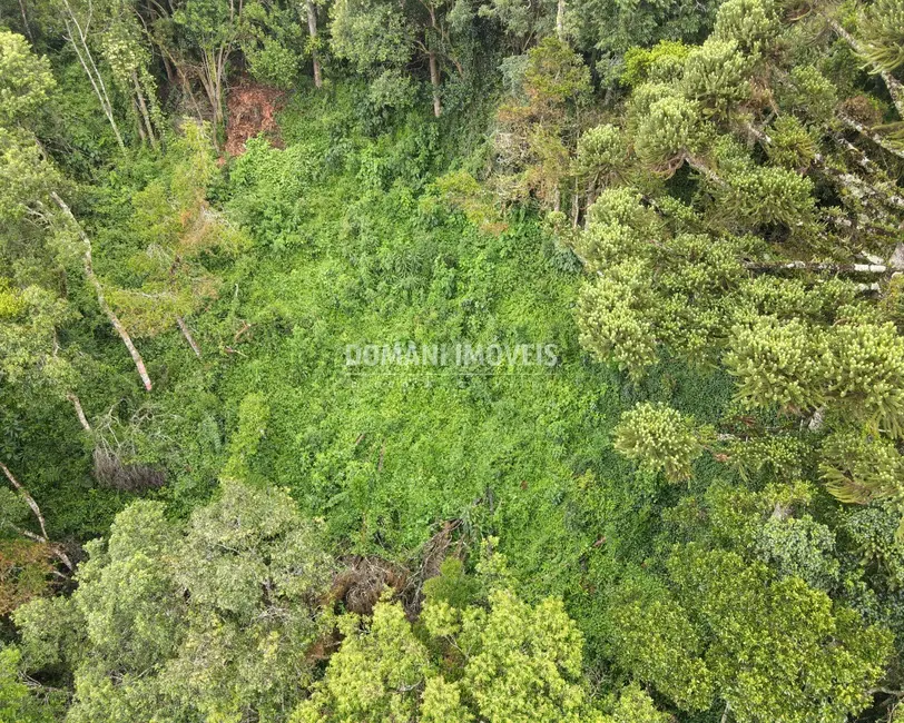 Foto 2 de Terreno / Lote à venda, 1480m2 em Campos Do Jordao - SP