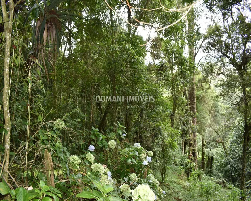 Foto 4 de Terreno / Lote à venda, 900m2 em Campos Do Jordao - SP