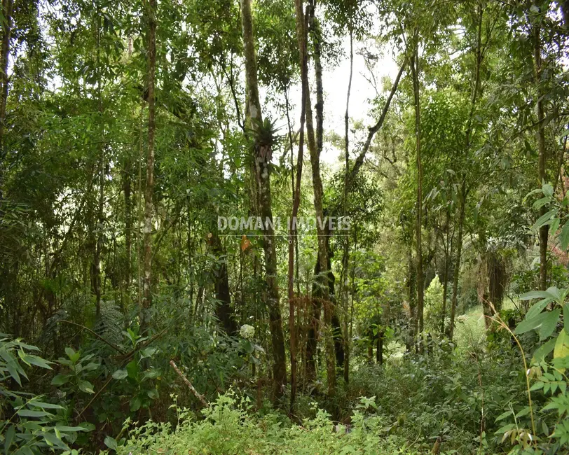 Foto 6 de Terreno / Lote à venda, 900m2 em Campos Do Jordao - SP