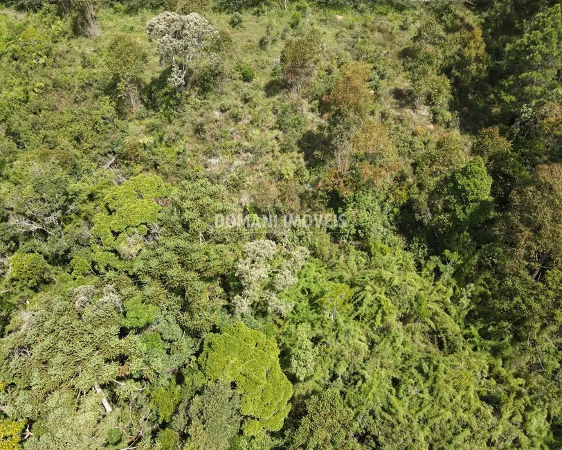Foto 6 de Terreno / Lote à venda em Campos Do Jordao - SP