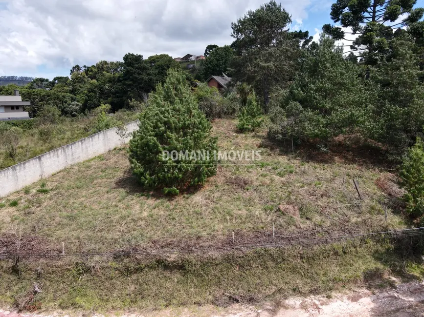 Foto 7 de Terreno / Lote à venda, 1070m2 em Campos Do Jordao - SP