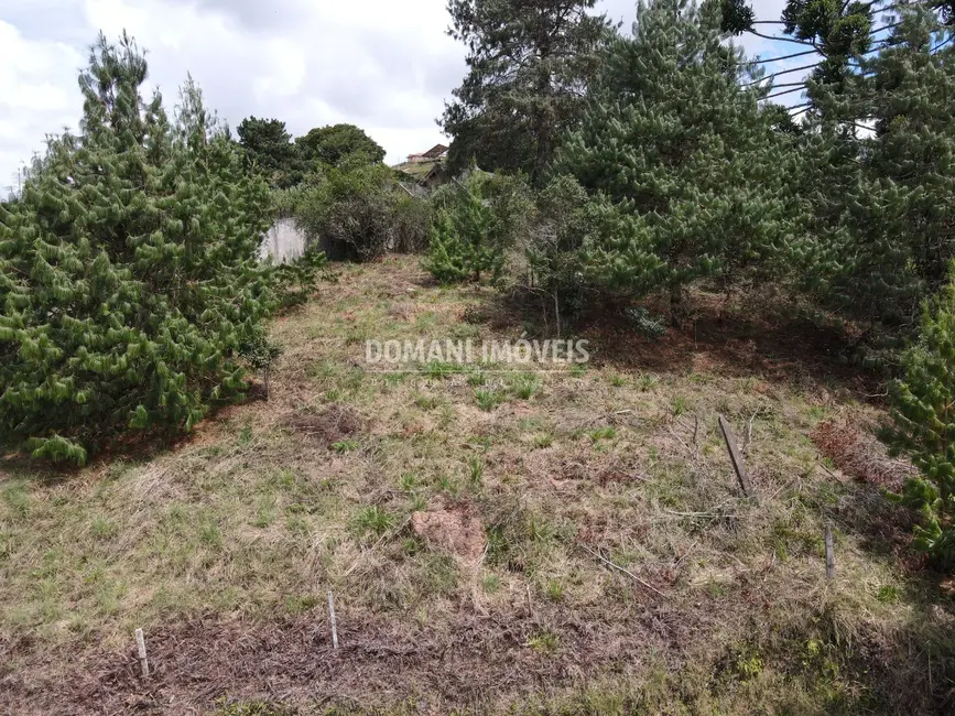 Foto 5 de Terreno / Lote à venda, 1070m2 em Campos Do Jordao - SP