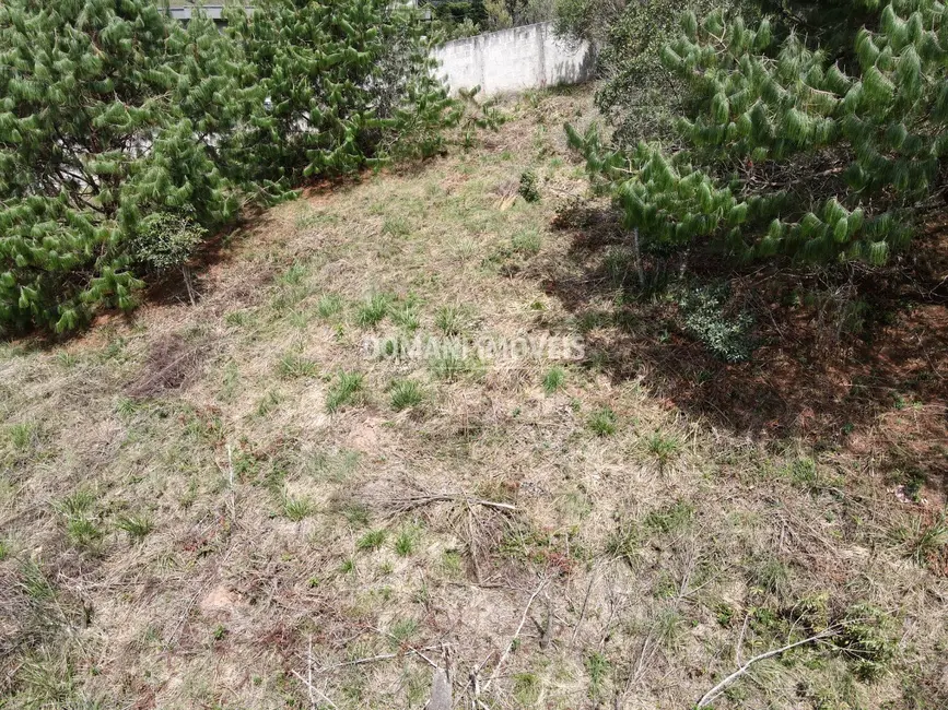 Foto 2 de Terreno / Lote à venda, 1070m2 em Campos Do Jordao - SP