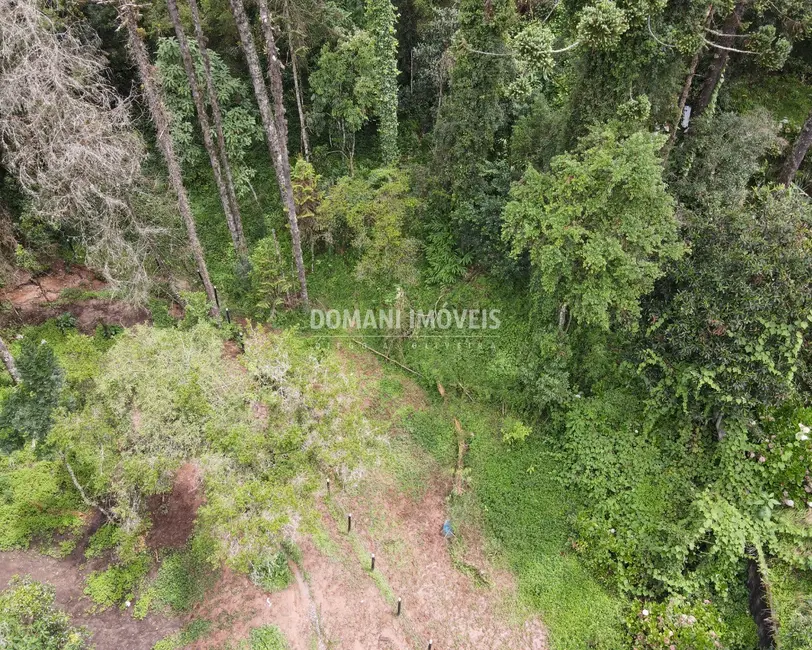 Foto 6 de Terreno / Lote à venda, 3750m2 em Campos Do Jordao - SP