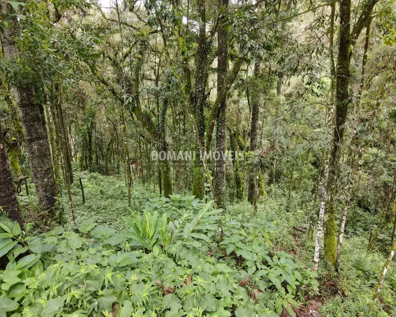Foto 2 de Terreno / Lote à venda, 3750m2 em Campos Do Jordao - SP