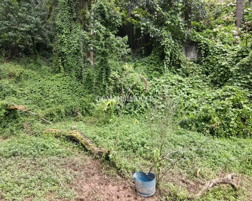 Foto 9 de Terreno / Lote à venda, 3750m2 em Campos Do Jordao - SP