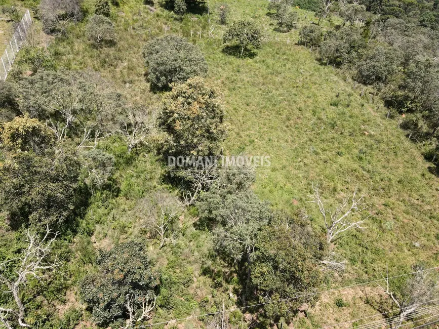 Foto 5 de Terreno / Lote à venda, 1160m2 em Campos Do Jordao - SP