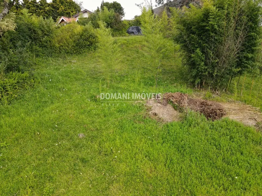 Terreno / Lote à venda, 1170m2 em Campos Do Jordao - SP - imagem 6 Foto 6 de Terreno / Lote à venda, 1170m2 em Campos Do Jordao - SP