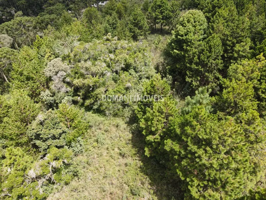 Foto 5 de Terreno / Lote à venda, 3030m2 em Campos Do Jordao - SP