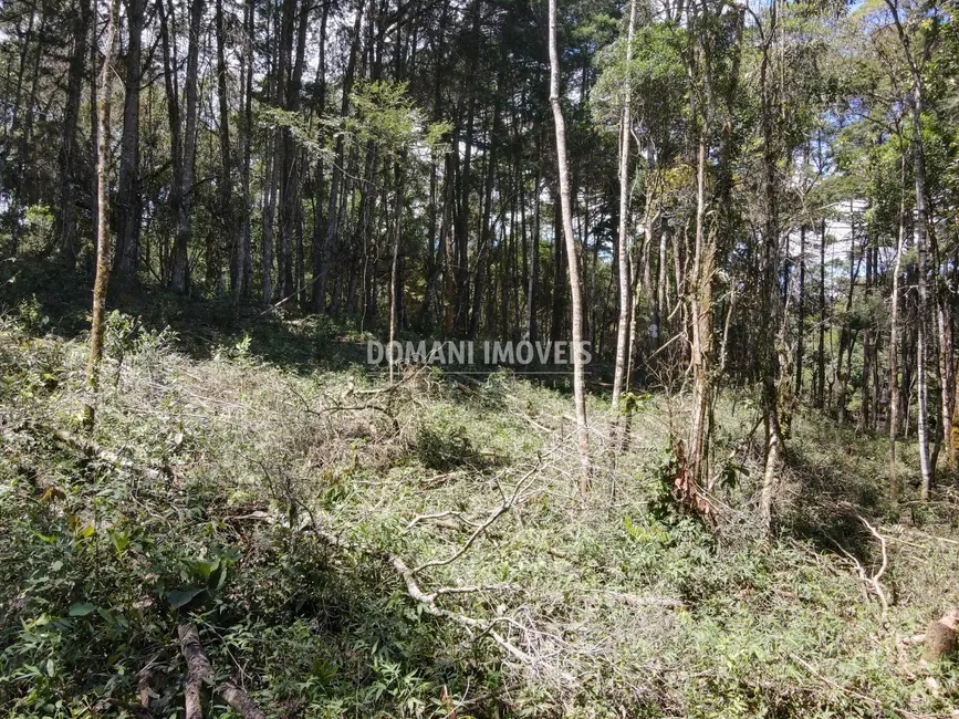 Foto 4 de Terreno / Lote à venda, 2270m2 em Campos Do Jordao - SP