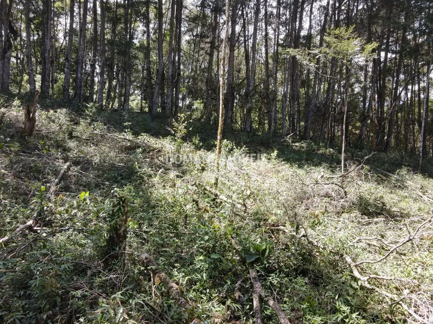 Foto 1 de Terreno / Lote à venda, 2270m2 em Campos Do Jordao - SP