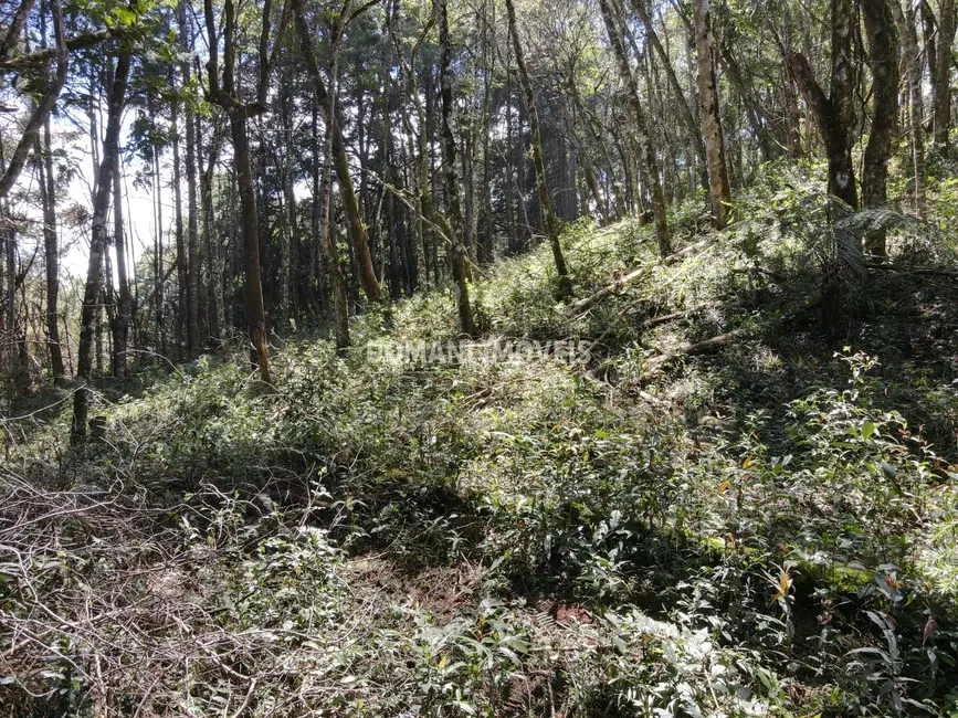 Foto 2 de Terreno / Lote à venda, 2270m2 em Campos Do Jordao - SP