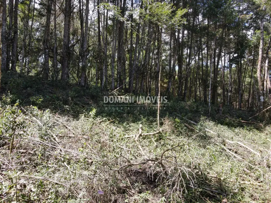 Foto 5 de Terreno / Lote à venda, 2270m2 em Campos Do Jordao - SP