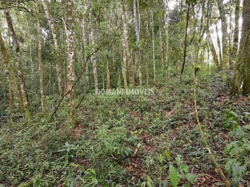 Foto 5 de Terreno / Lote à venda, 2520m2 em Campos Do Jordao - SP