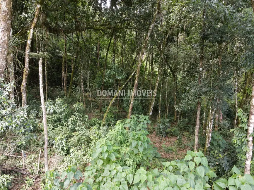 Terreno / Lote à venda, 1130m2 em Campos Do Jordao - SP - imagem 8 Foto 8 de Terreno / Lote à venda, 1130m2 em Campos Do Jordao - SP