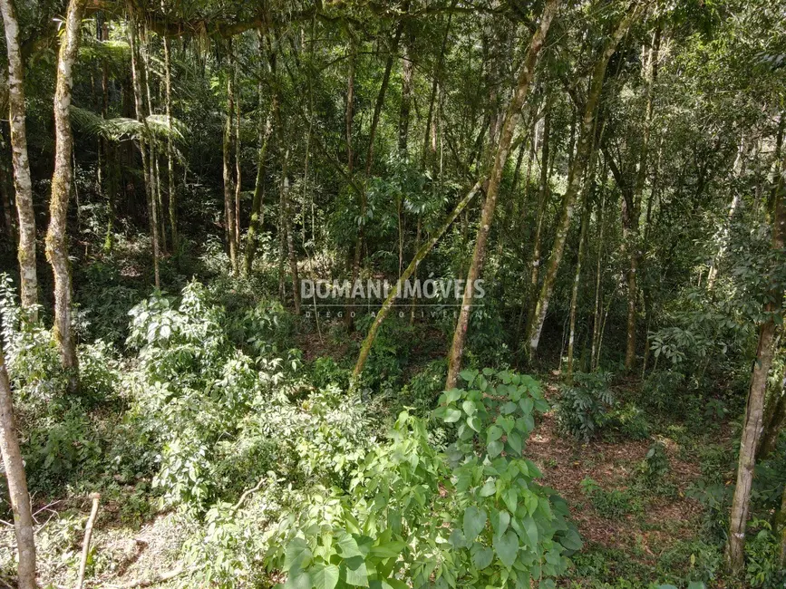 Terreno / Lote à venda, 1130m2 em Campos Do Jordao - SP - imagem 5 Foto 5 de Terreno / Lote à venda, 1130m2 em Campos Do Jordao - SP