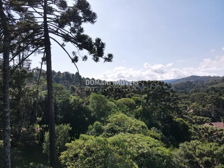 Foto 7 de Casa com 5 quartos à venda, 270m2 em Campos Do Jordao - SP