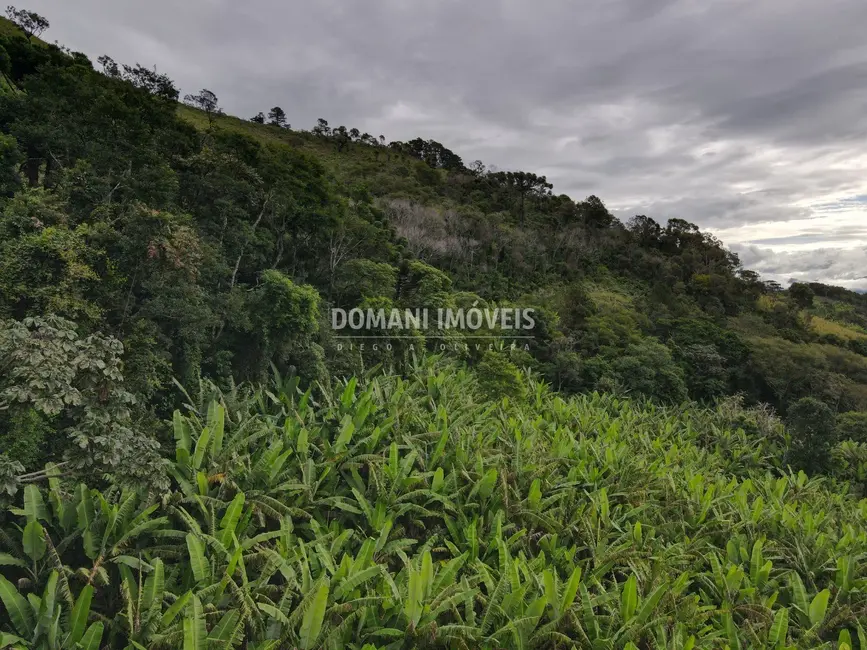 Terreno / Lote à venda, 1890m2 em Campos Do Jordao - SP - imagem 6 Foto 6 de Terreno / Lote à venda, 1890m2 em Campos Do Jordao - SP