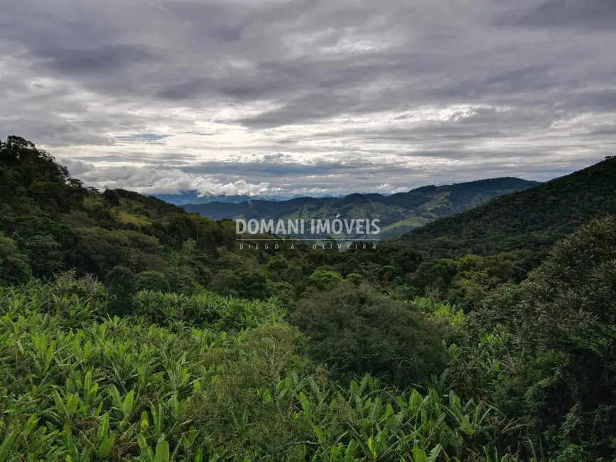 Terreno / Lote à venda, 1890m2 em Campos Do Jordao - SP - imagem 8 Foto 8 de Terreno / Lote à venda, 1890m2 em Campos Do Jordao - SP