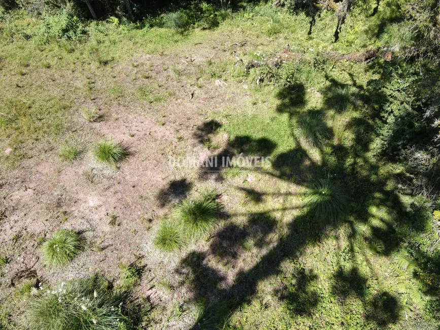 Terreno / Lote à venda, 2865m2 em Campos Do Jordao - SP - imagem 4 Foto 4 de Terreno / Lote à venda, 2865m2 em Campos Do Jordao - SP