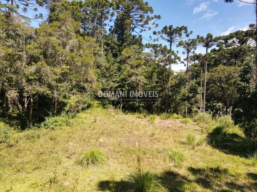 Terreno / Lote à venda, 2865m2 em Campos Do Jordao - SP - imagem 7 Foto 7 de Terreno / Lote à venda, 2865m2 em Campos Do Jordao - SP