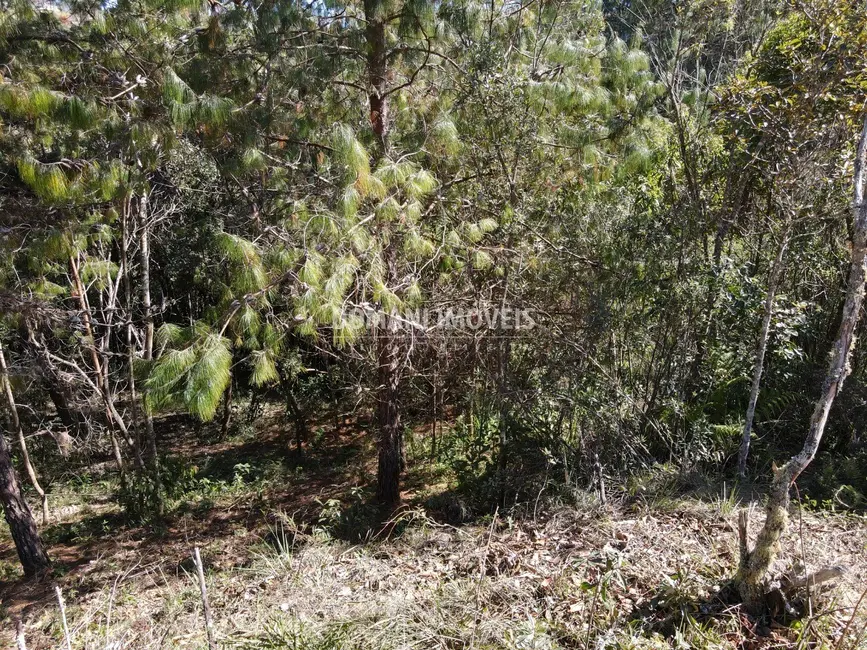 Foto 6 de Terreno / Lote à venda, 1050m2 em Campos Do Jordao - SP