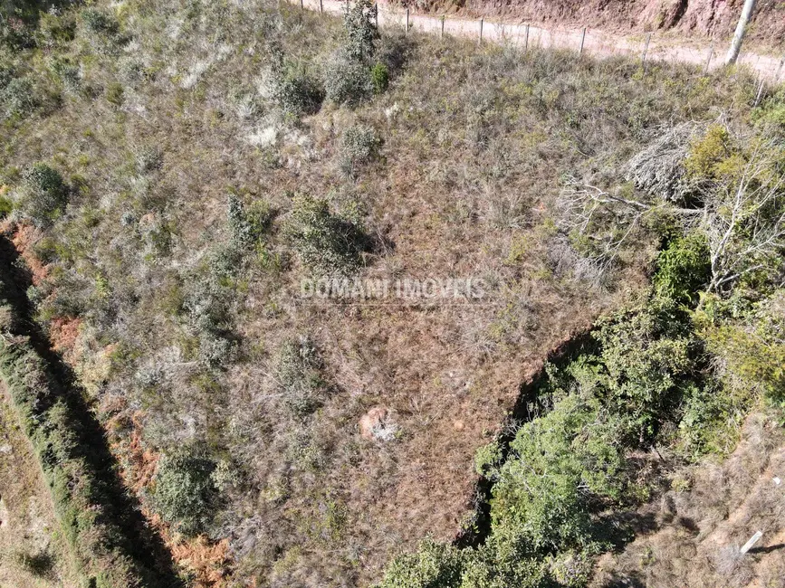 Foto 2 de Terreno / Lote à venda, 1300m2 em Campos Do Jordao - SP