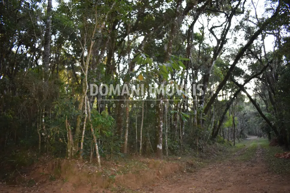 Foto 9 de Terreno / Lote à venda, 1100m2 em Campos Do Jordao - SP