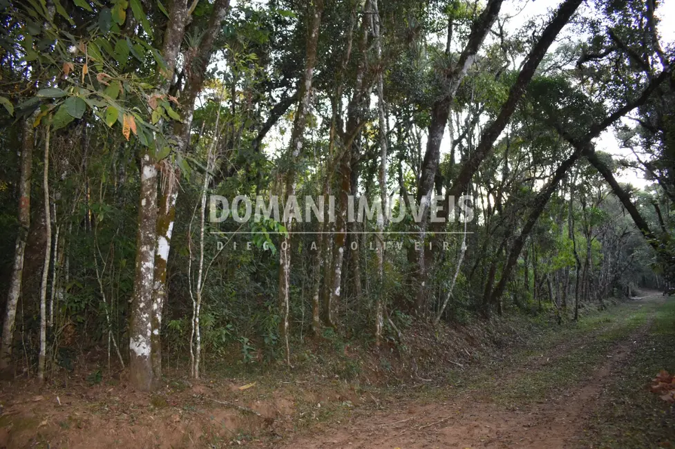 Foto 7 de Terreno / Lote à venda, 1100m2 em Campos Do Jordao - SP