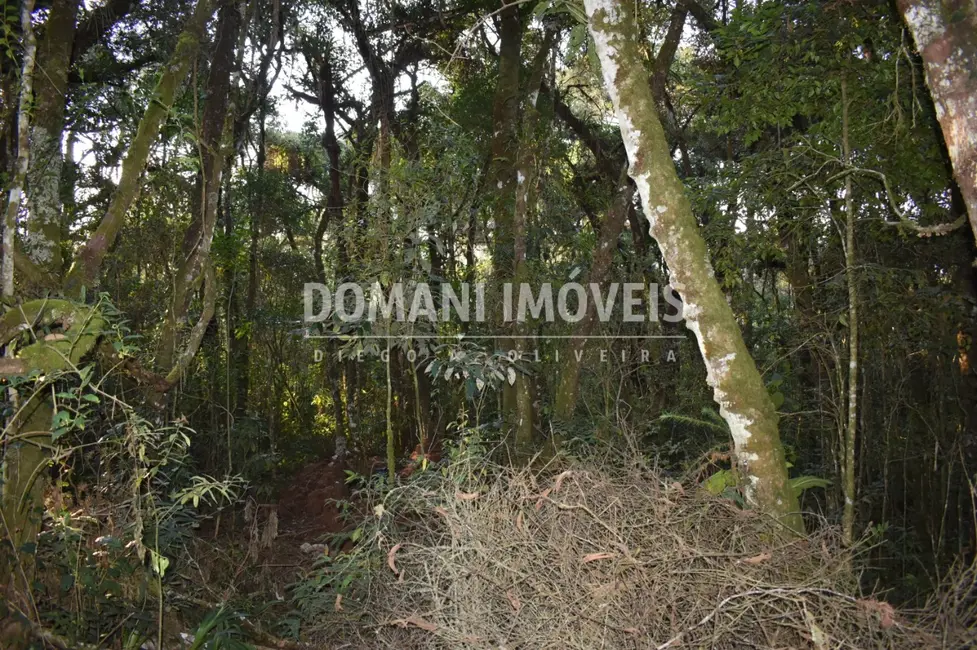 Foto 6 de Terreno / Lote à venda, 1100m2 em Campos Do Jordao - SP