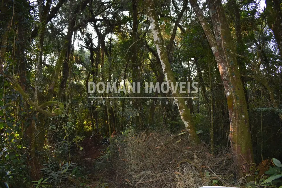 Foto 5 de Terreno / Lote à venda, 1100m2 em Campos Do Jordao - SP