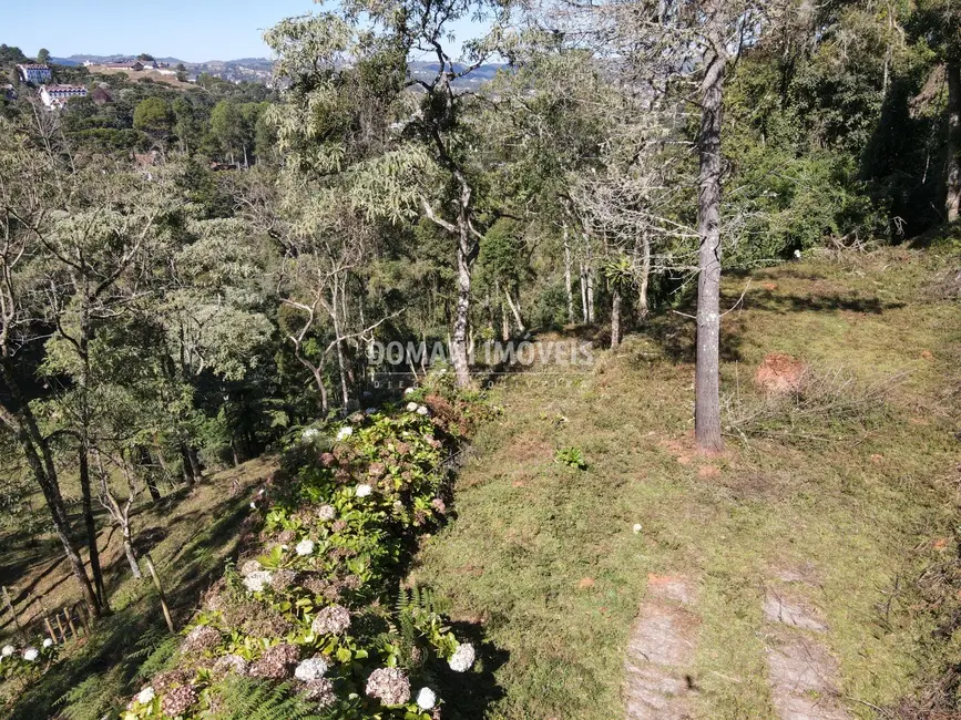 Foto 3 de Terreno / Lote à venda, 2060m2 em Campos Do Jordao - SP
