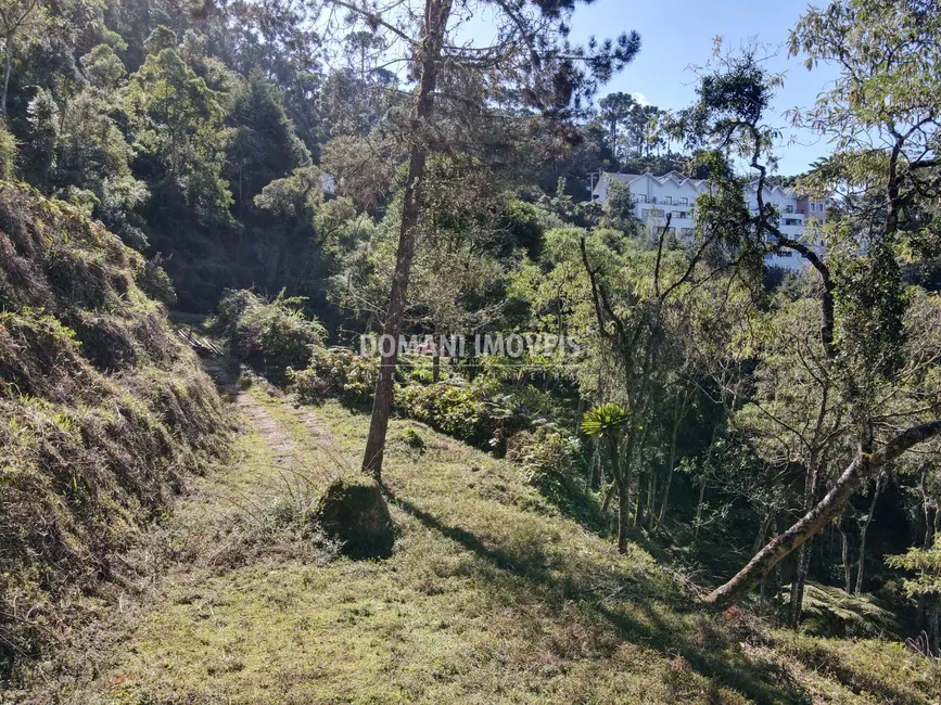 Foto 9 de Terreno / Lote à venda, 2060m2 em Campos Do Jordao - SP