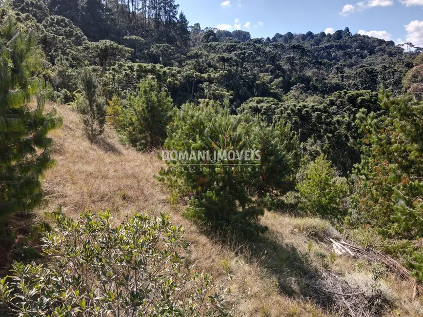Foto 4 de Terreno / Lote à venda, 1110m2 em Campos Do Jordao - SP
